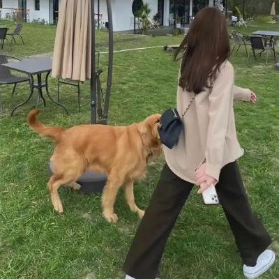 伊莎朵拉的眼泪